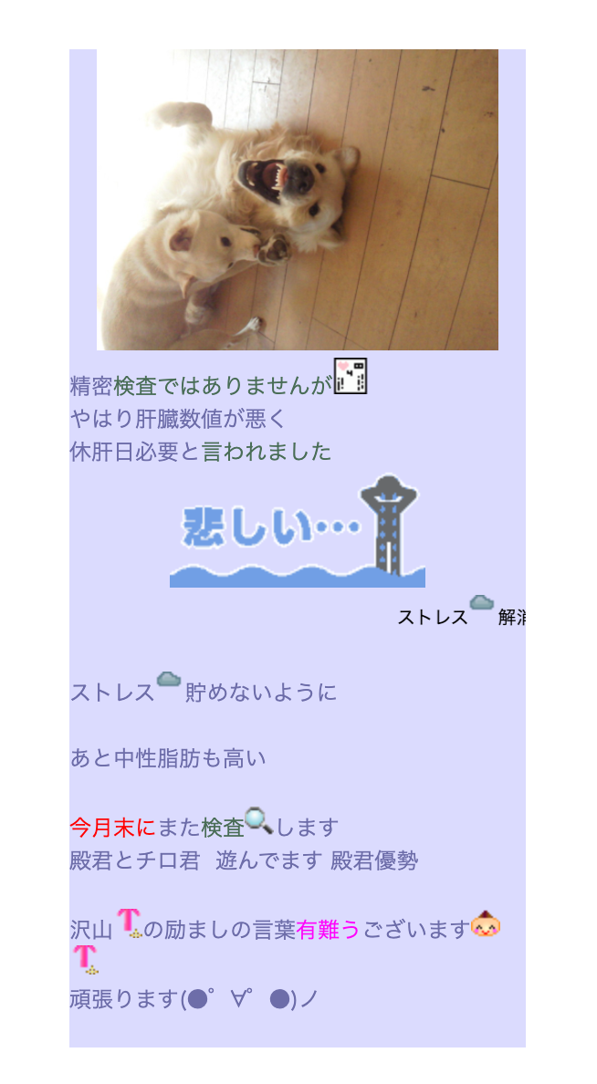 志村けんの手術歴は 過去の病気は肝臓 持病は肺炎で禁煙していた Mayutre