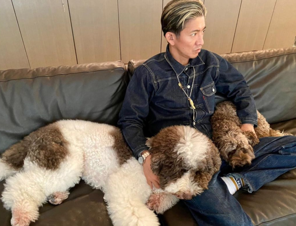 木村拓哉は犬を何匹飼ってる 種類 値段 名前まとめ Mayutre