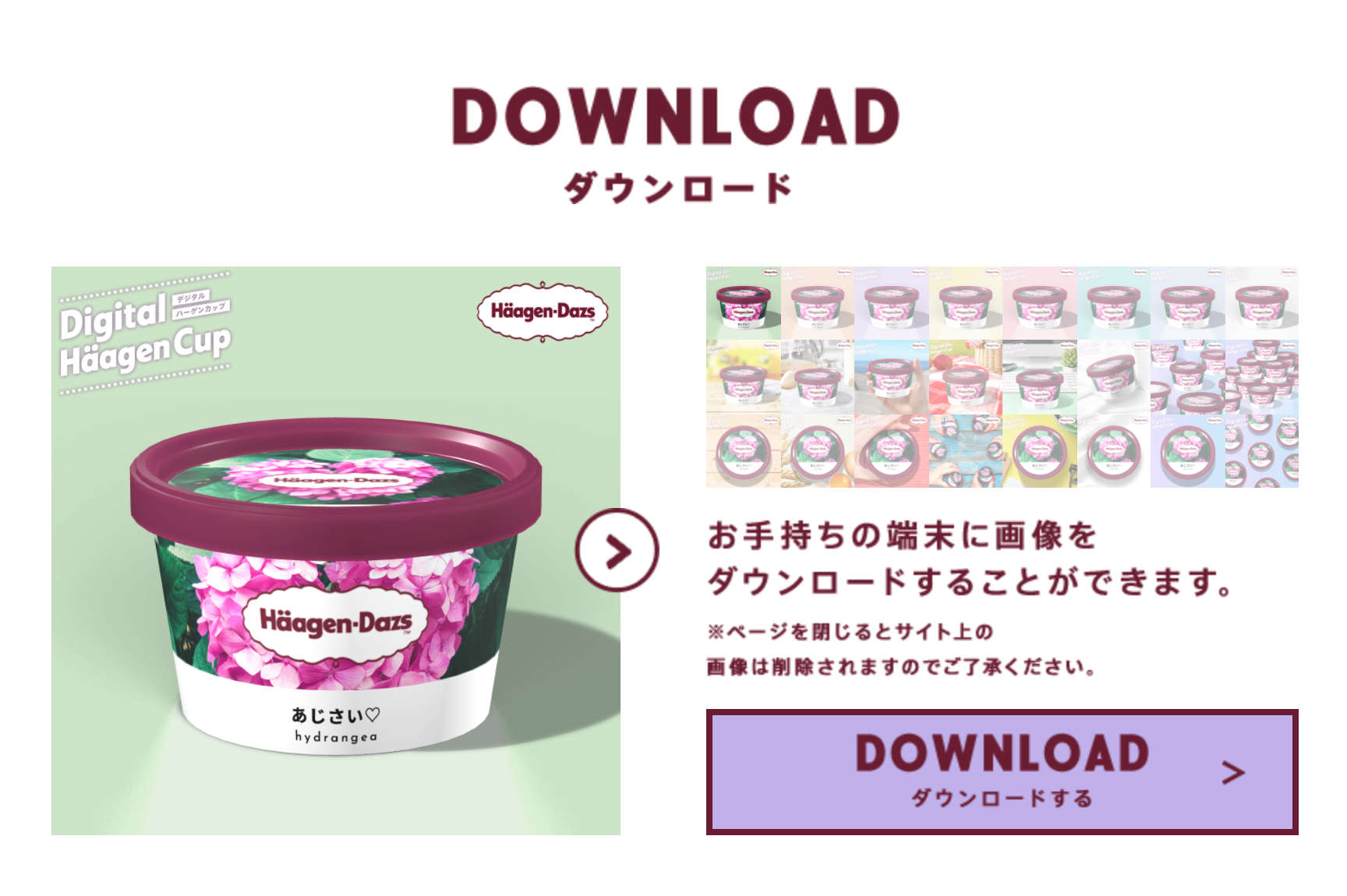 オリジナルハーゲンダッツのやり方 文字や写真の入れ方 作り方は ツイッターで話題 Mayutre