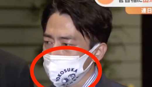 小泉進次郎のマスクは横須賀！売ってる場所はどこ？値段はいくら？