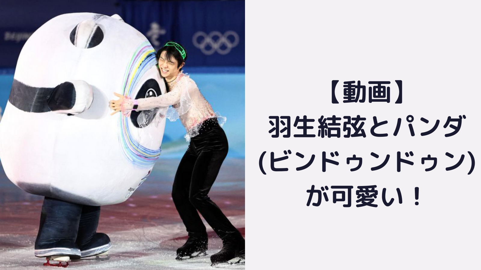 動画 羽生結弦とパンダ ビンドゥンドゥン がかわいい ゆづドゥンドゥンが話題に Mayutre