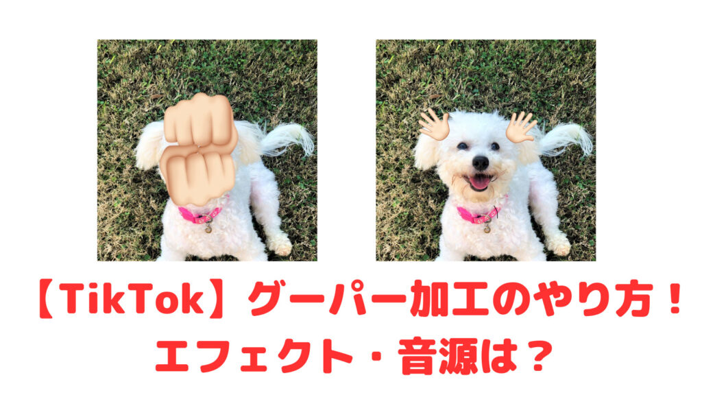 【TikTok】グーパー加工のやり方！エフェクト・音源は？