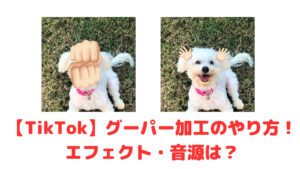 【TikTok】グーパー加工のやり方！エフェクト・音源は？